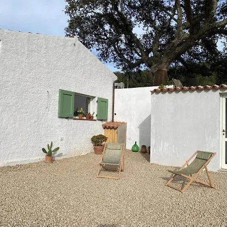 La Liara A House Nestled Between Vineyards And A Stream *