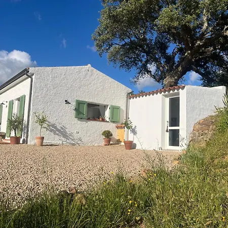 La Liara A House Nestled Between Vineyards And A Stream * Luogosanto