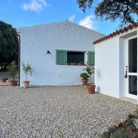 La Liara A House Nestled Between Vineyards And A Stream Luogosanto