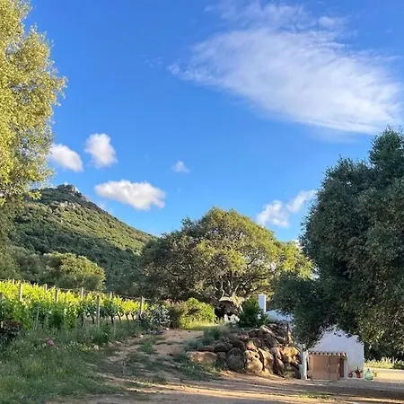 La Liara A House Nestled Between Vineyards And A Stream * Luogosanto