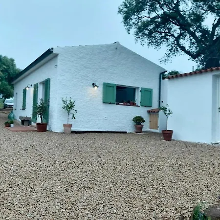 La Liara A House Nestled Between Vineyards And A Stream * Luogosanto