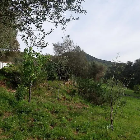 La Liara A House Nestled Between Vineyards And A Stream Hébergement de vacances *