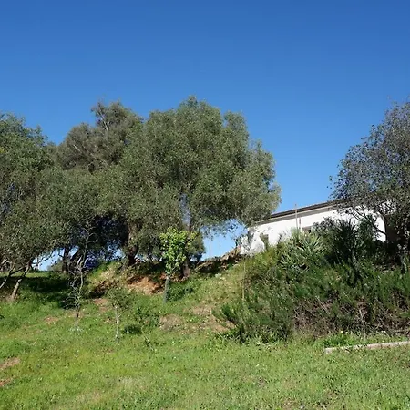 La Liara A House Nestled Between Vineyards And A Stream * Luogosanto