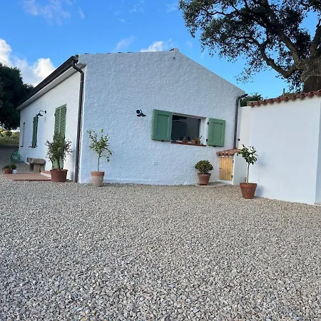 La Liara A House Nestled Between Vineyards And A Stream *