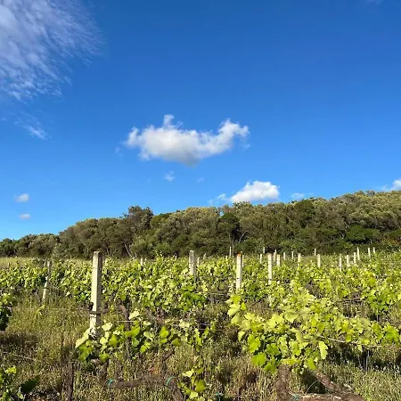 La Liara A House Nestled Between Vineyards And A Stream Hébergement de vacances *