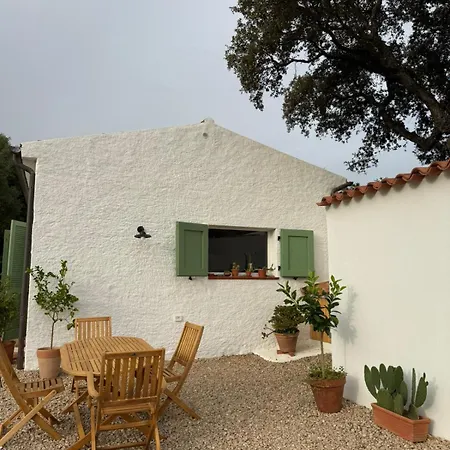La Liara A House Nestled Between Vineyards And A Stream