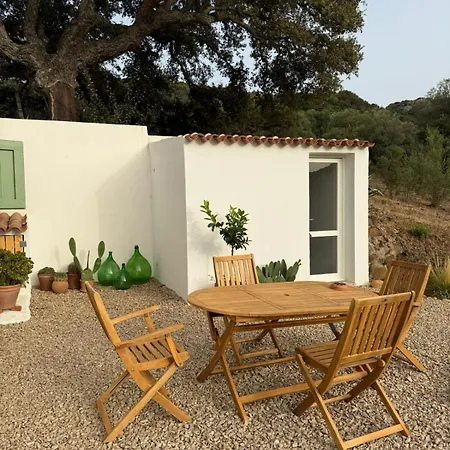 別荘 La Liara A House Nestled Between Vineyards And A Stream ルオゴサント