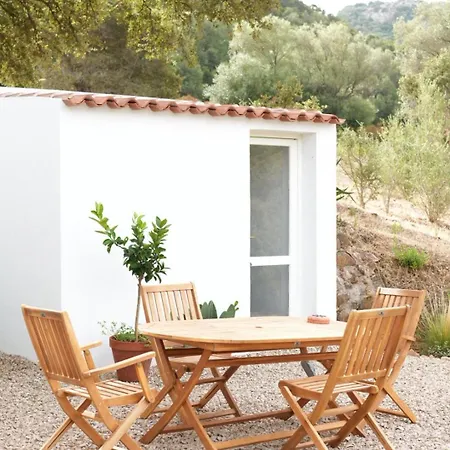 La Liara A House Nestled Between Vineyards And A Stream 別荘 *