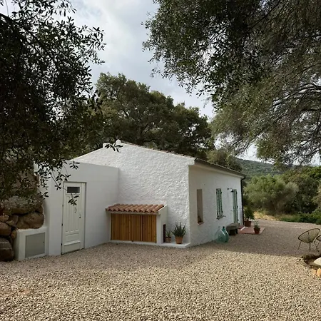 La Liara A House Nestled Between Vineyards And A Stream Hébergement de vacances Luogosanto